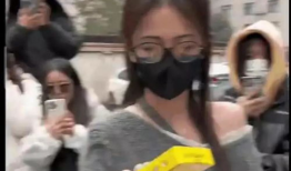 民间吃瓜爆料视频大全集,揭秘娱乐圈幕后真相大全集