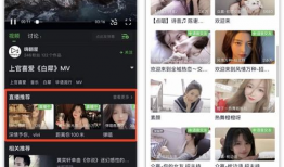 催眠直播性爱叫床音频,催眠直播的诱惑与争议